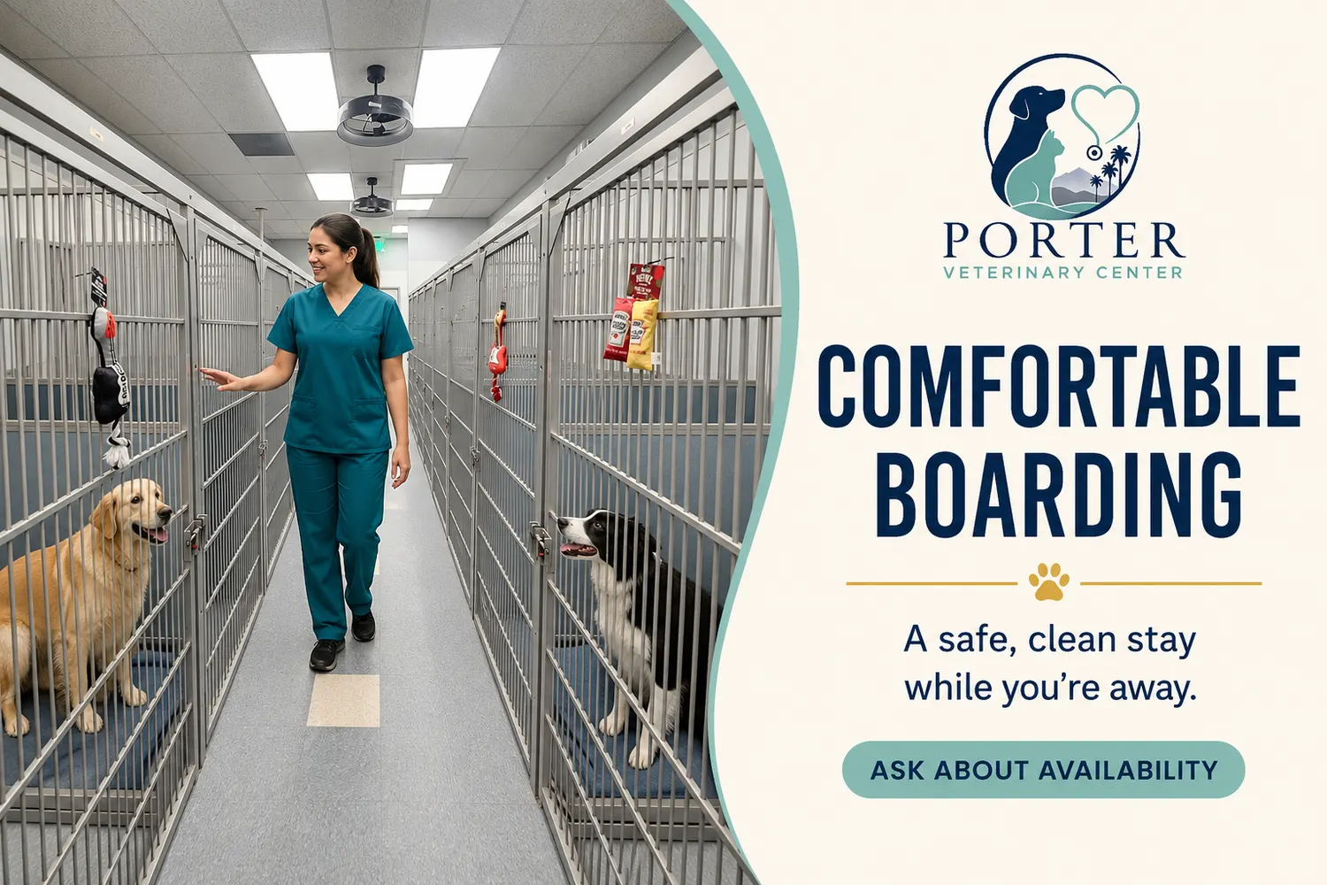 Comfortable boarding at Porter Veterinary Center