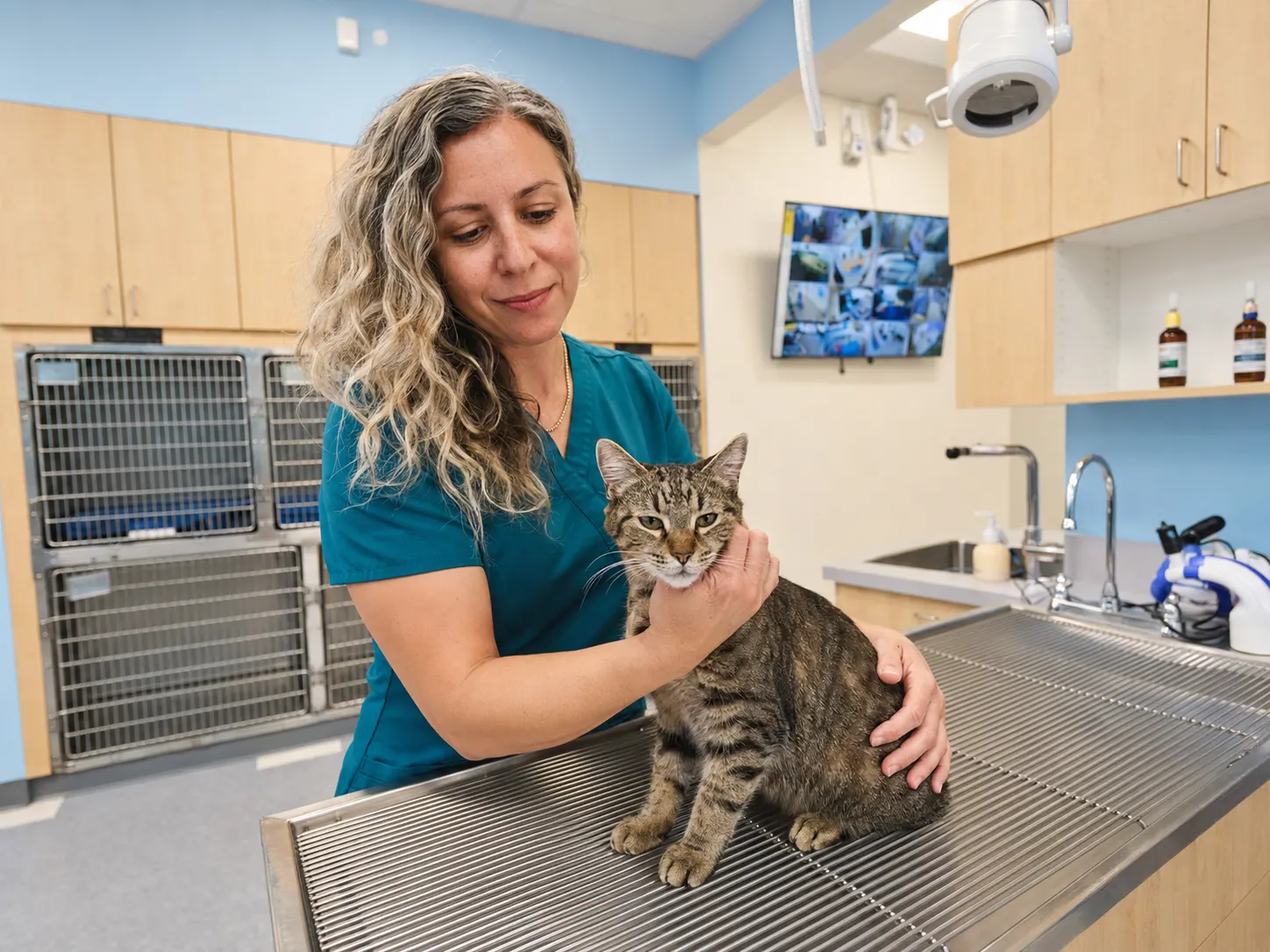 Cat-friendly care