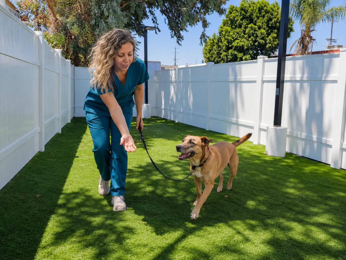 Porter Veterinary Center outdoor play yard